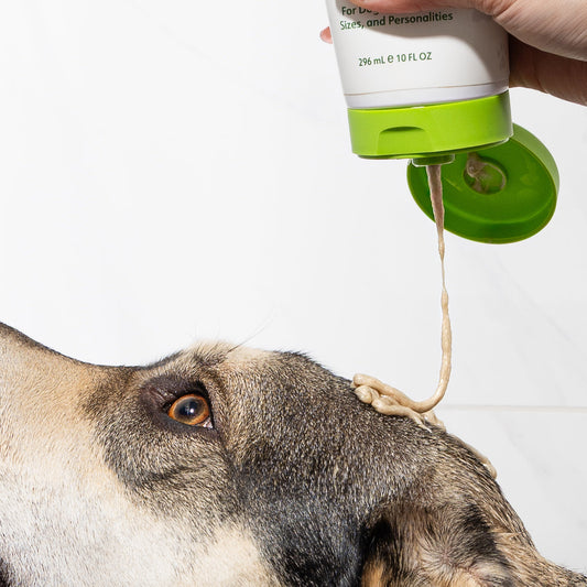 Why Plant-Based Dog Shampoo Is Better for Your Dog’s Skin