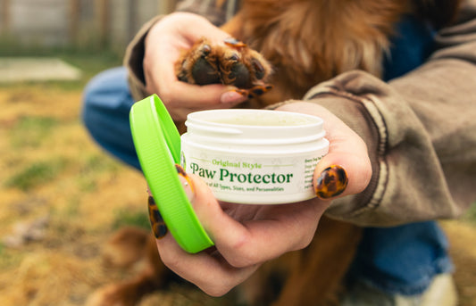 Why Paw Protection Matters More Than Most Dog Owners Realize