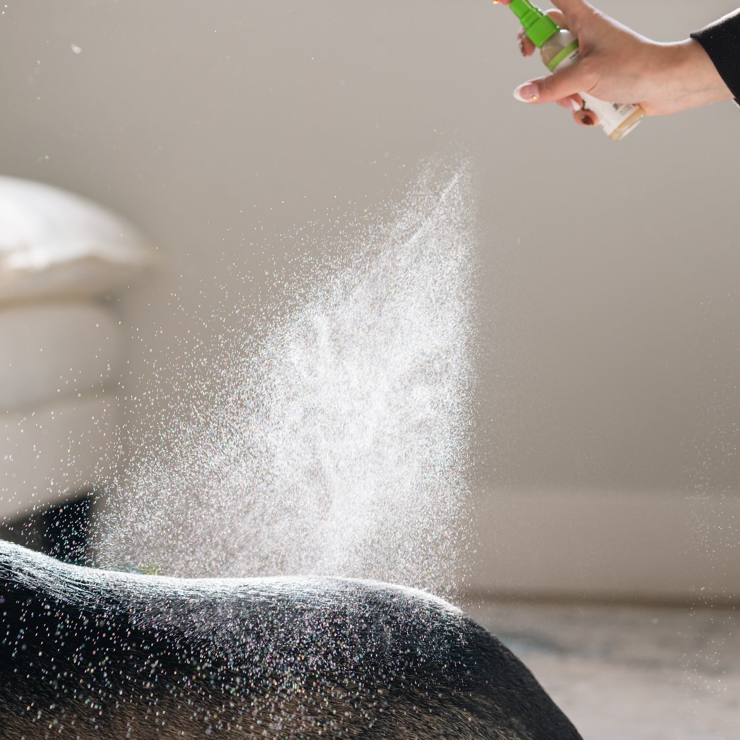 Conditioning Deodorizer Spray