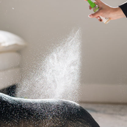 Conditioning Deodorizer Spray