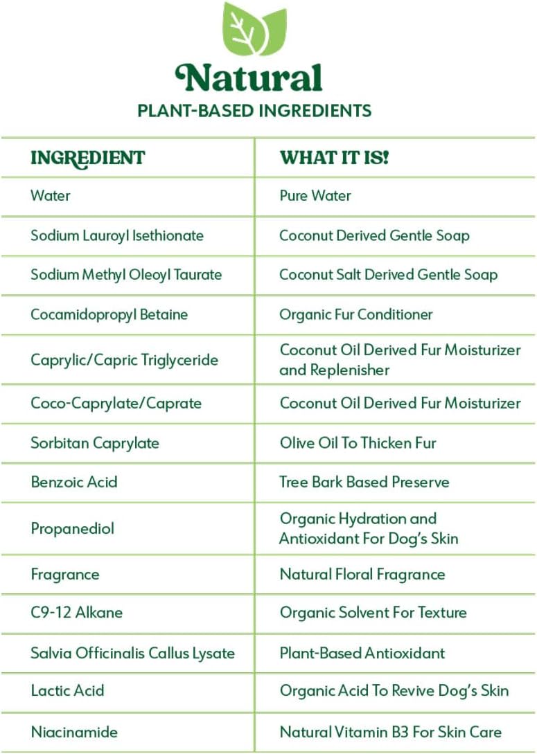 List of natural plant-based ingredients with their descriptions on a green background