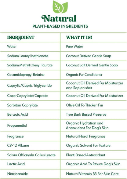 List of natural plant-based ingredients with their descriptions on a green background