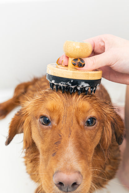 Pro Bundle - Small Dog