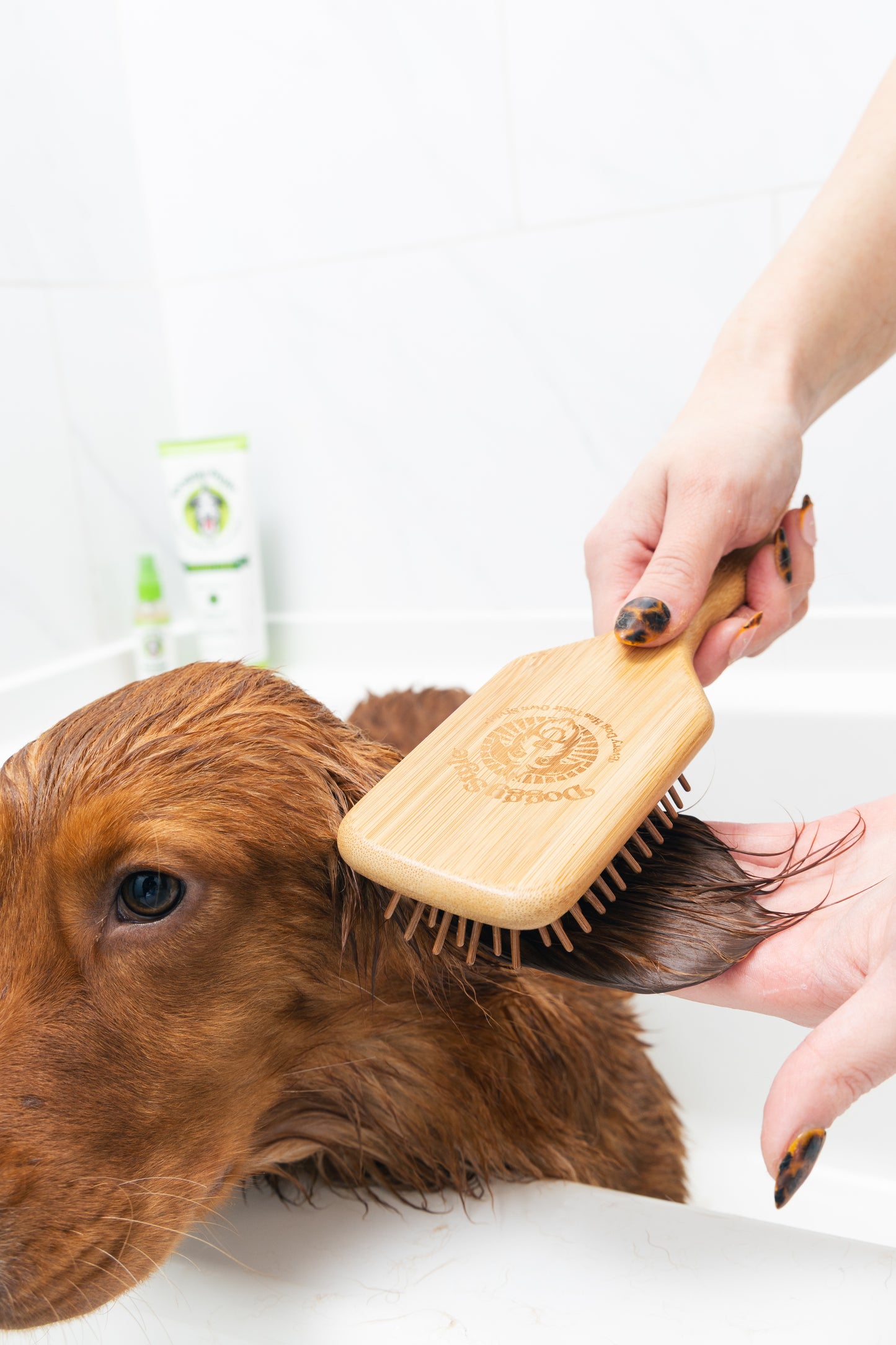 Bamboo Brush (SM)