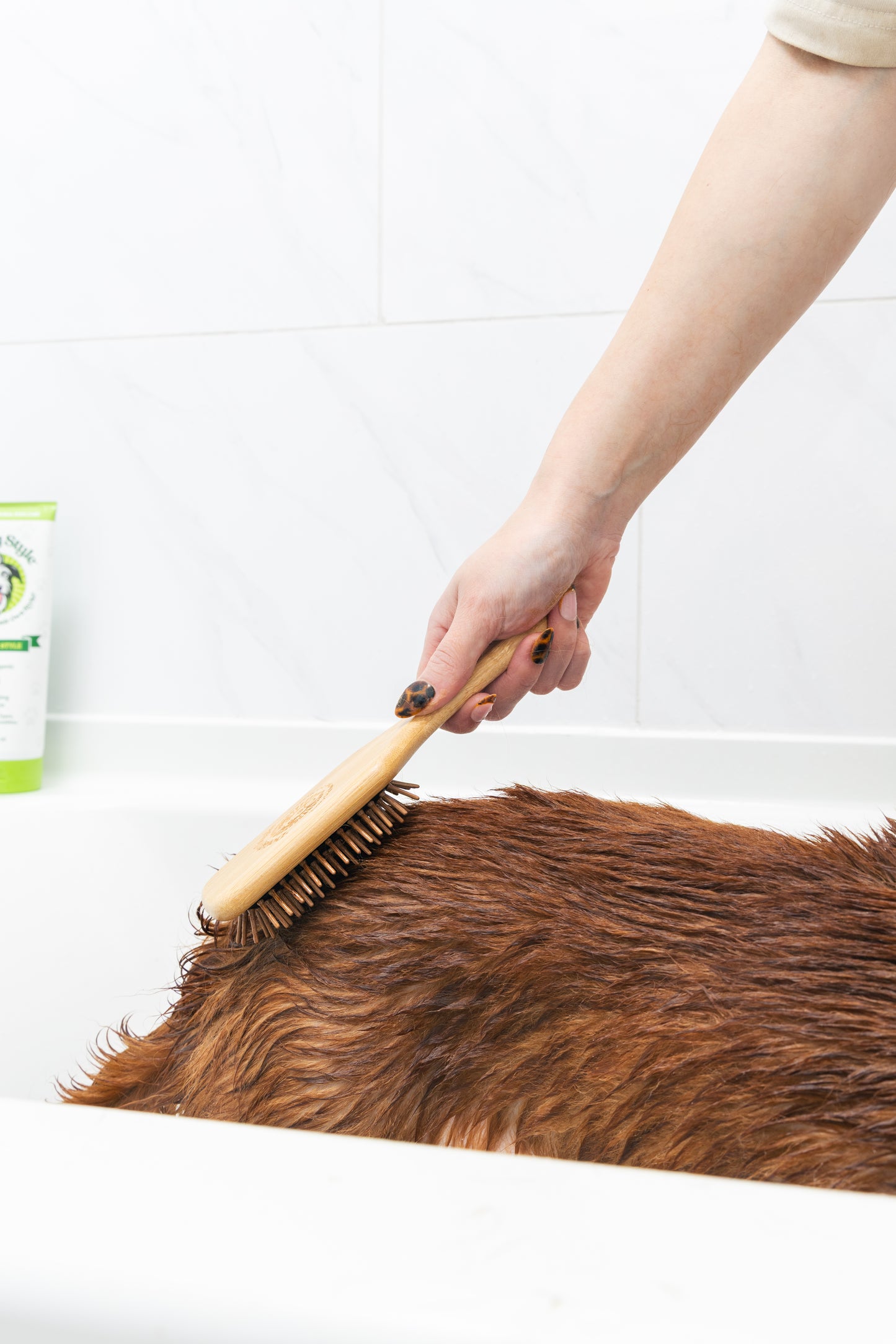 Bamboo Brush (SM)