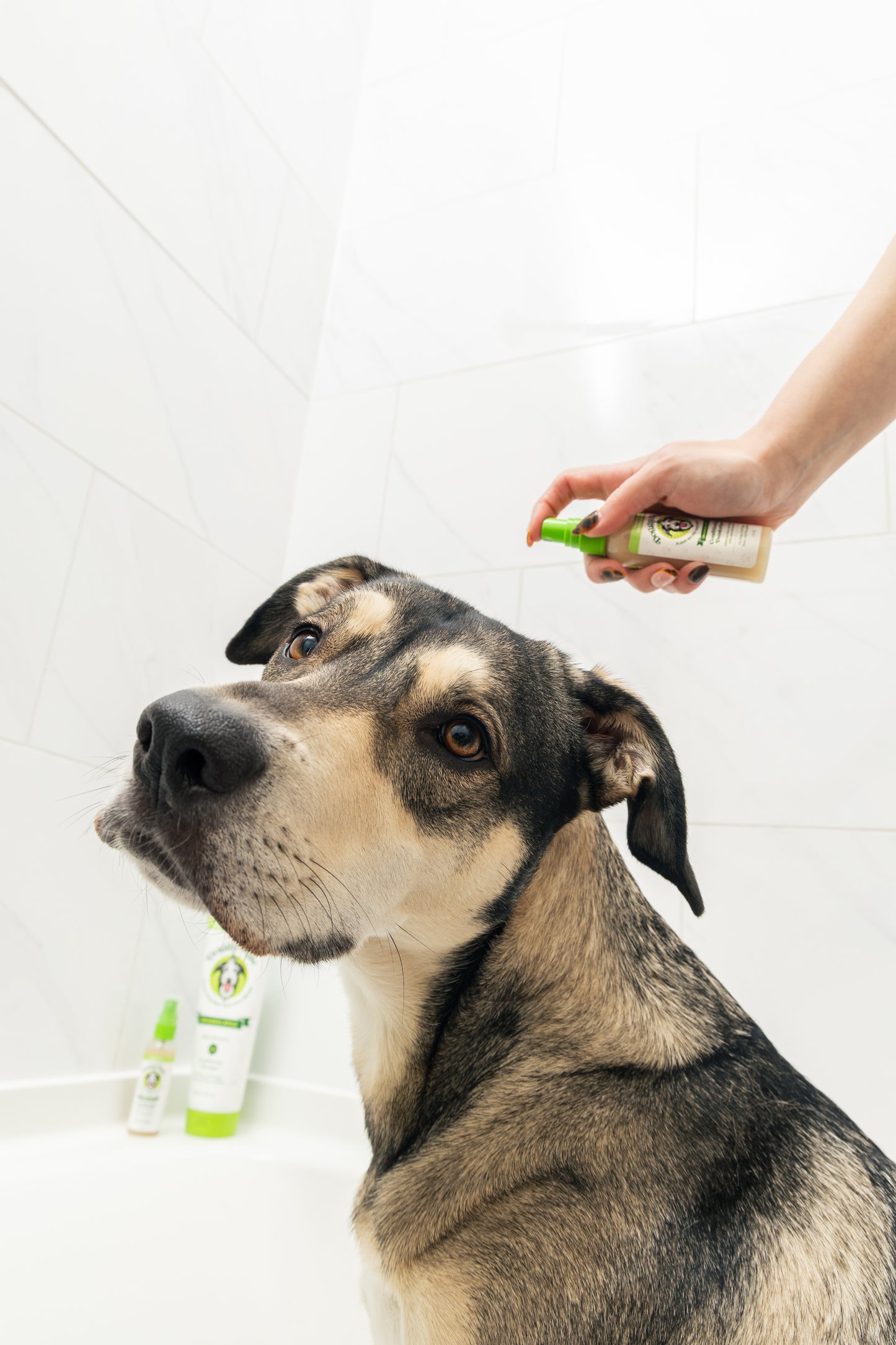 Pro Bundle - Large Dog