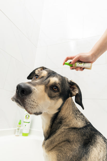 Pro Bundle - Large Dog