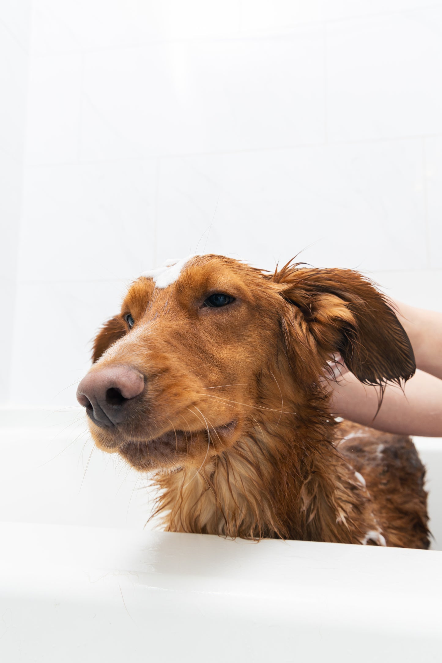 Bath Bundle