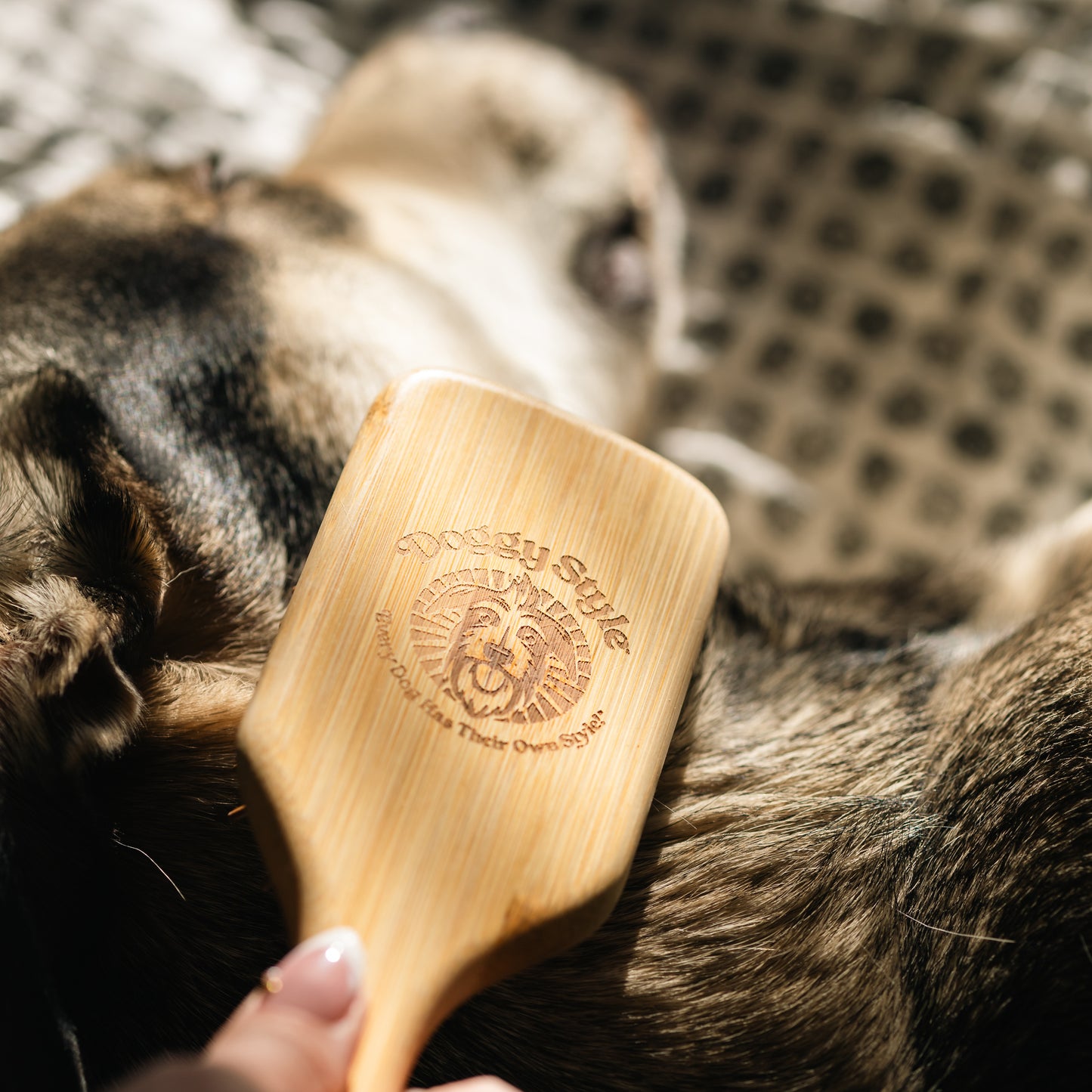 Pro Bundle - Large Dog