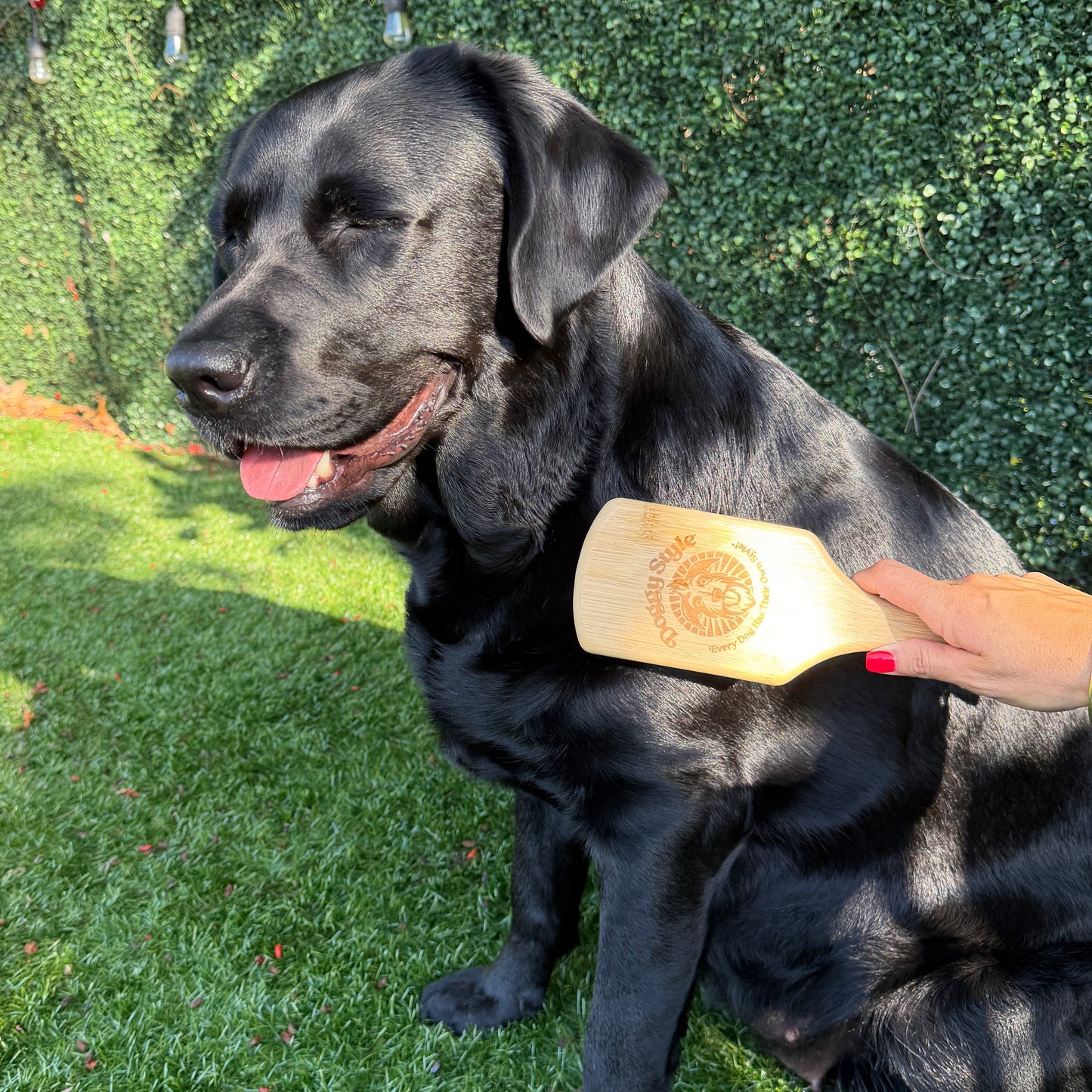 LG Bamboo Brush - Lexi
