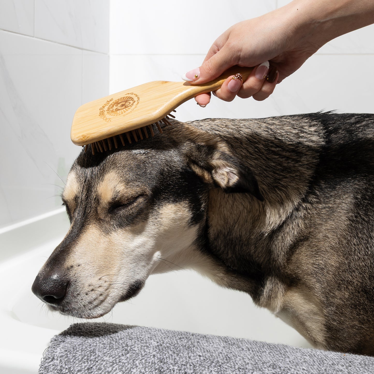 Bamboo Brush (LG)