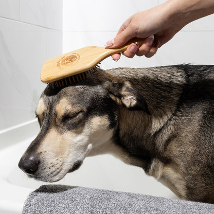 Bamboo Brush (LG)