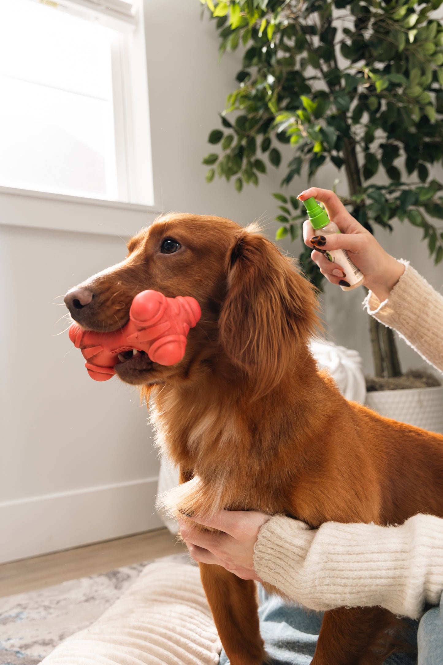 Grooming Bundle