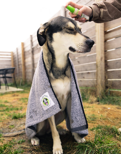 Pro Bundle - Large Dog