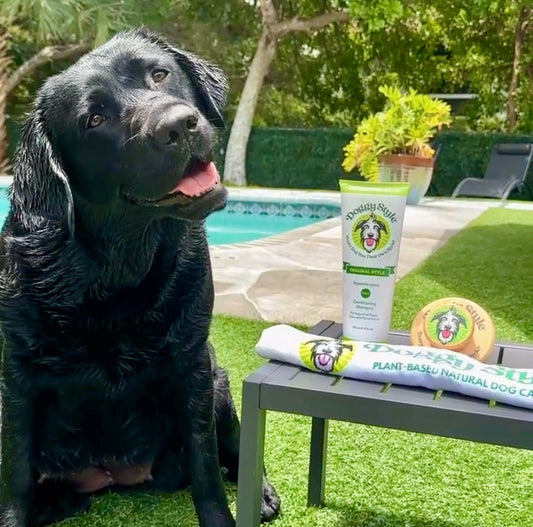 2 in 1 Shampoo - Lexi