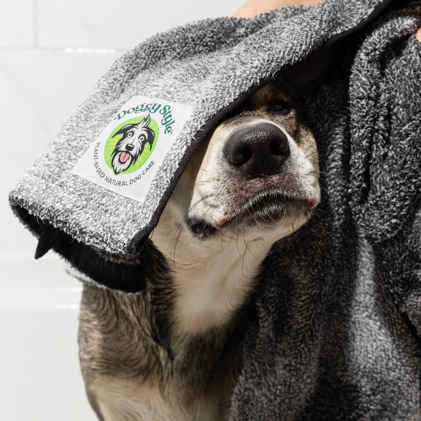 Pro Bundle - Large Dog